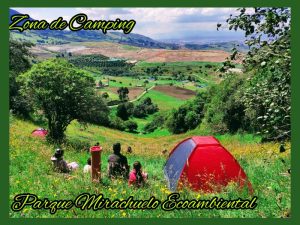 camping portada 1